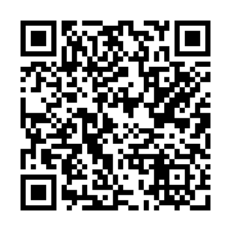 QR code for LO0383