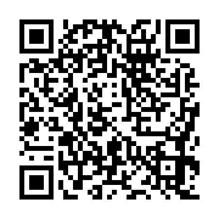 QR code for LP08738
