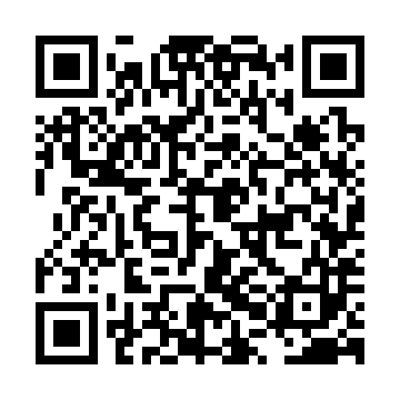 QR code for LPG383