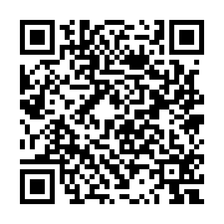 QR code for LR11167