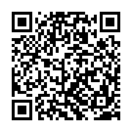 QR code for LRB336