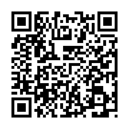 QR code for LS51369