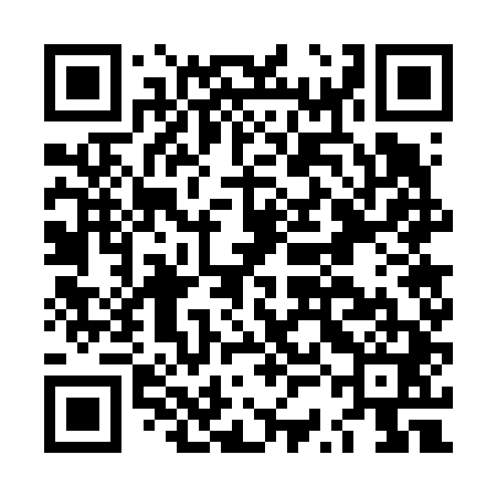 QR code for LSG641