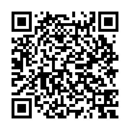 QR code for LSI338