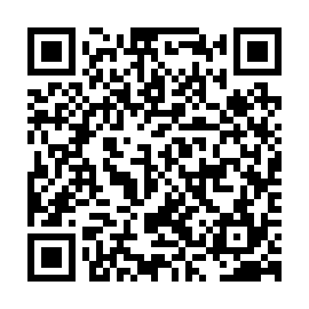 QR code for LSS234
