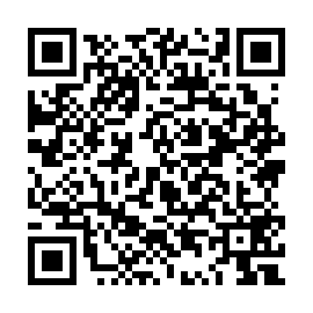 QR code for LT93593