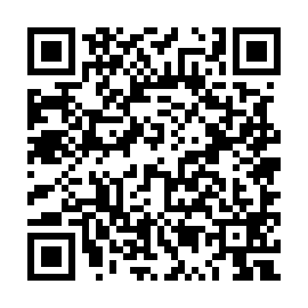 QR code for LU55991