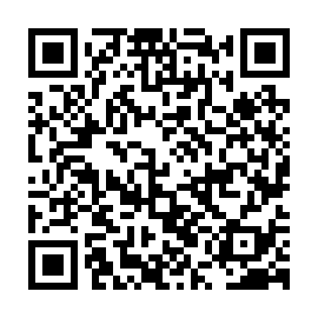 QR code for LUN239