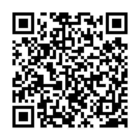 QR code for LUS613
