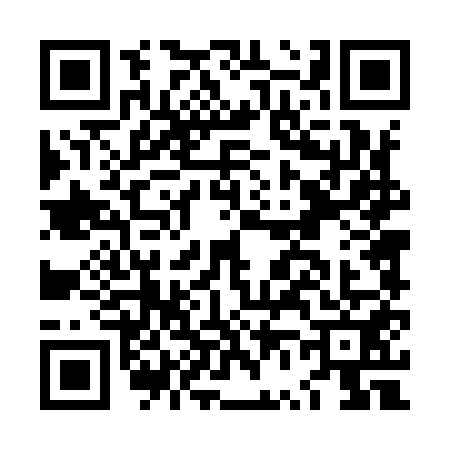 QR code for LV49517