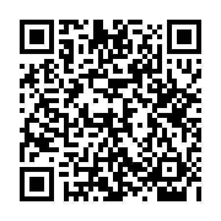 QR code for LV52310