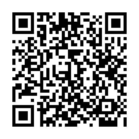 QR code for LV93989