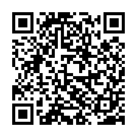 QR code for LVG503