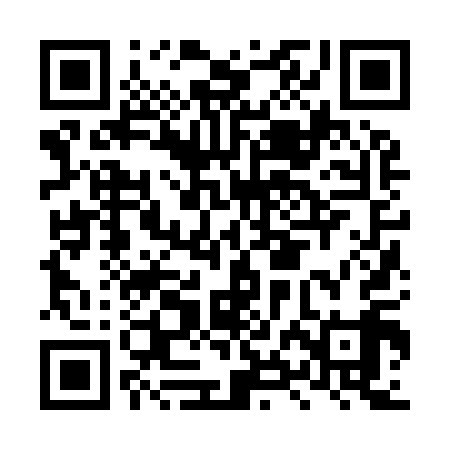 QR code for LXJ919