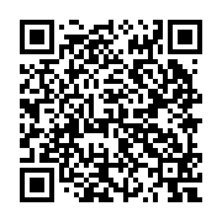 QR code for LZ9293