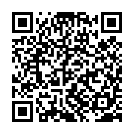 QR code for LZI495