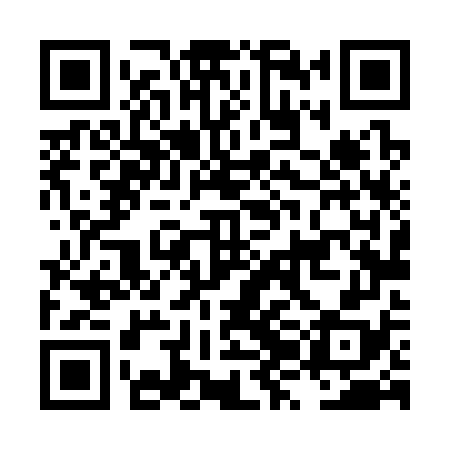 QR code for LZL378