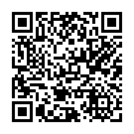 QR code for LZR396