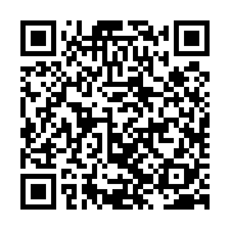 QR code for LZR528