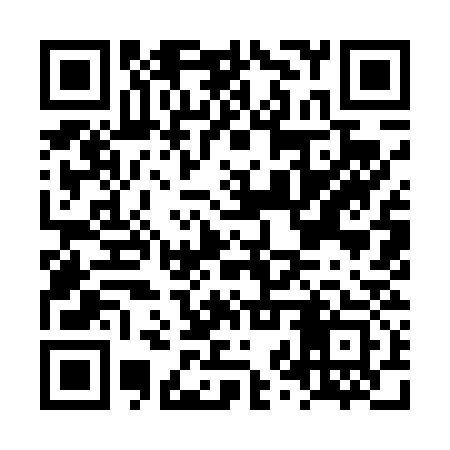 QR code for LZY433