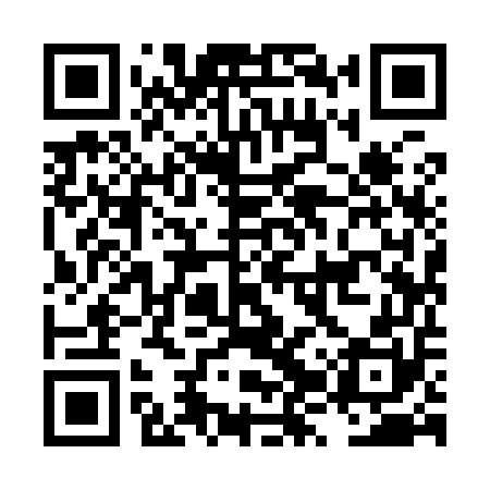QR code for LZY950