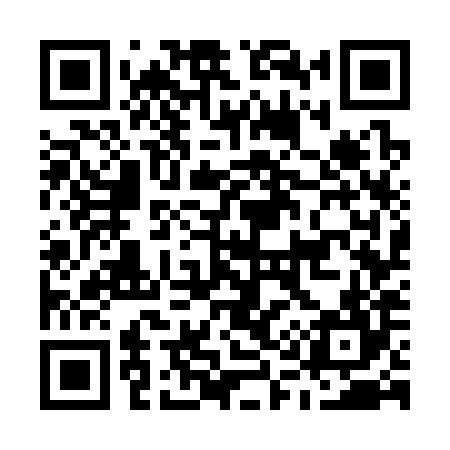 QR code for M17384