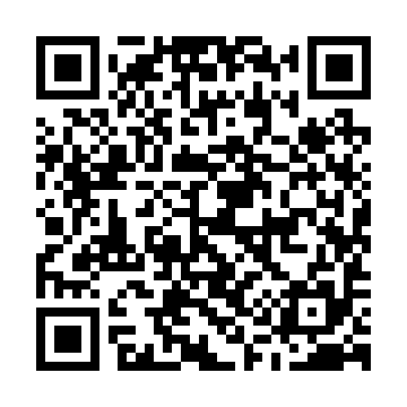 QR code for M19295
