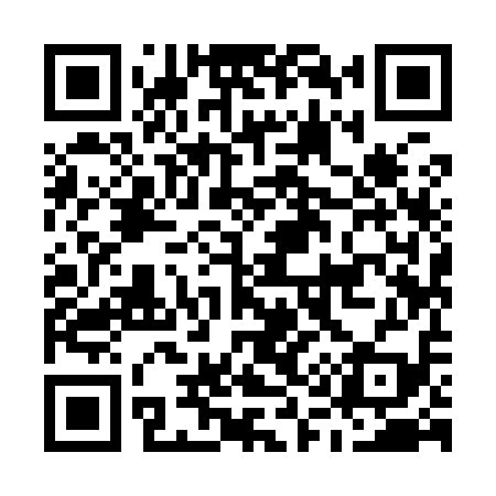 QR code for M19919