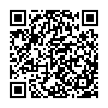 QR code for M20384