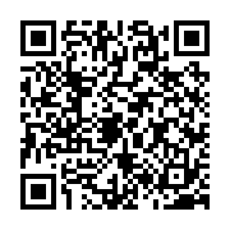 QR code for M262333