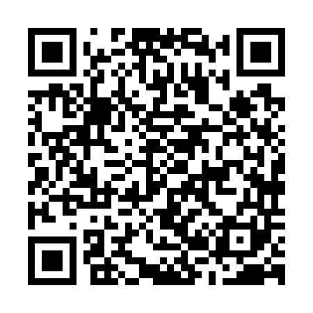 QR code for M28741