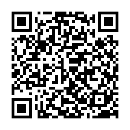QR code for M29221
