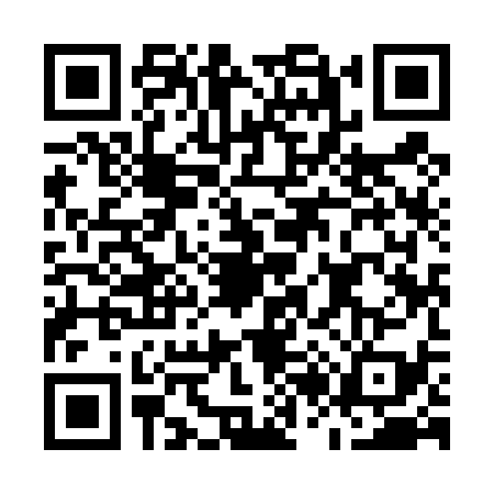 QR code for M294391
