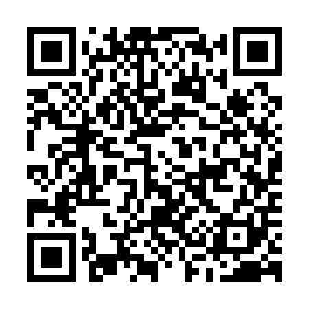 QR code for M33101