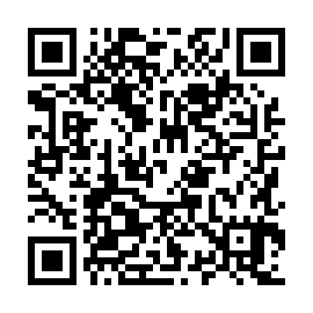QR code for M38085