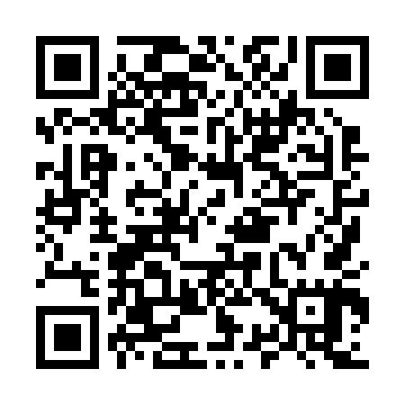 QR code for M38245