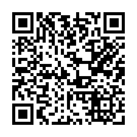 QR code for M38329