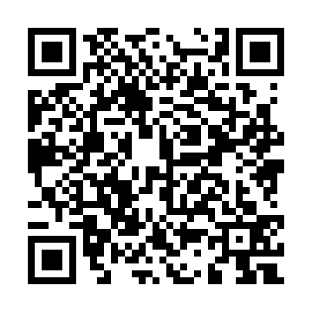 QR code for M383331