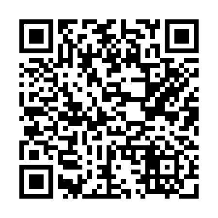 QR code for M38339