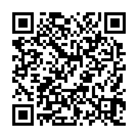 QR code for M38341