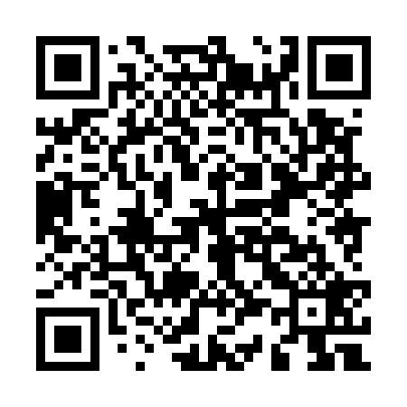 QR code for M38529