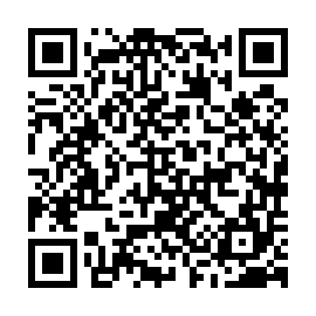 QR code for M38554