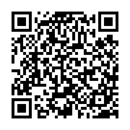 QR code for M38607