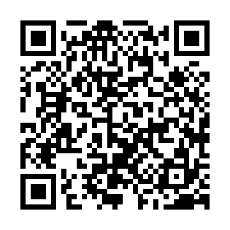 QR code for M38832