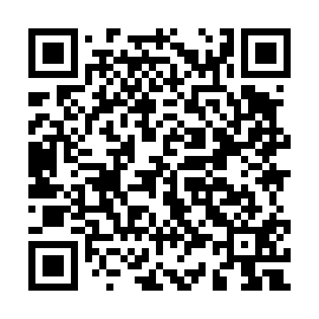 QR code for M39411