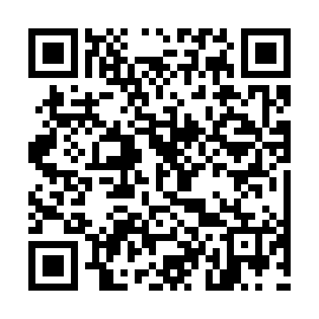 QR code for M42385