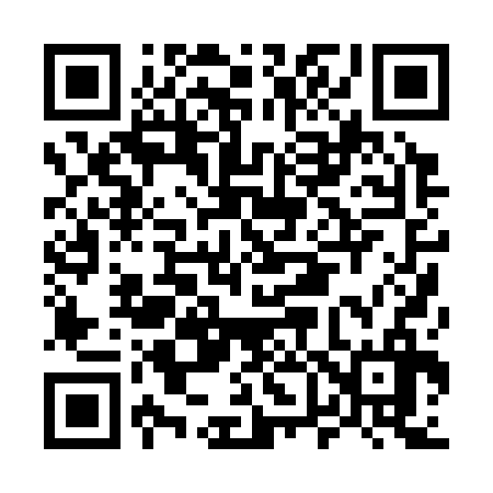 QR code for M60336