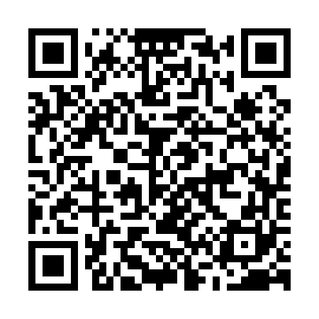 QR code for M63160