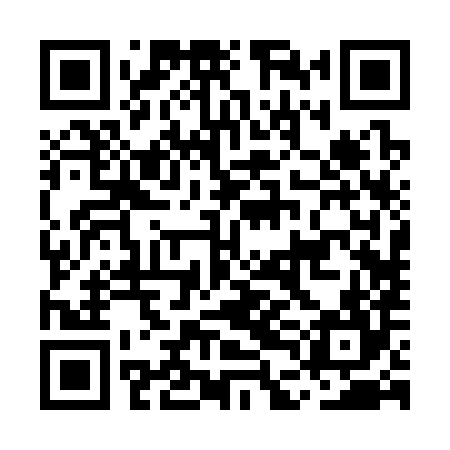 QR code for MDB384