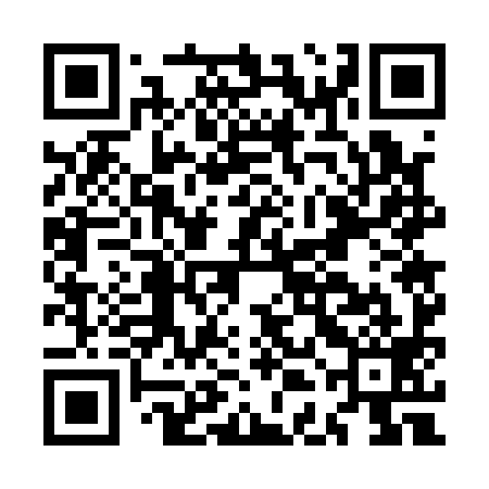 QR code for MDG199